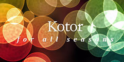 Banner 8