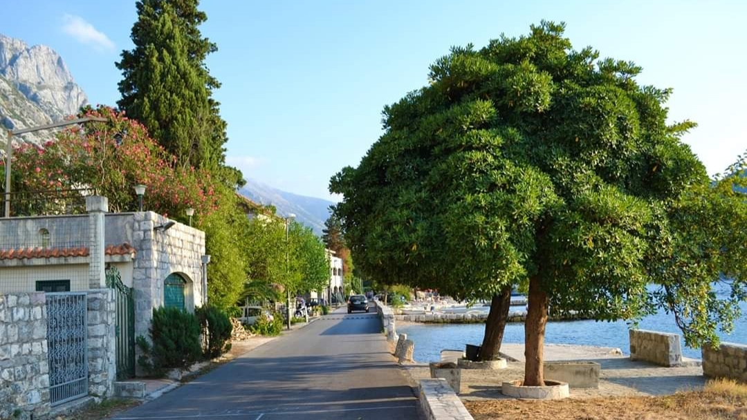 OPŠTINA KOTOR I MORSKO DOBRO DOGOVORILI SARADNJU