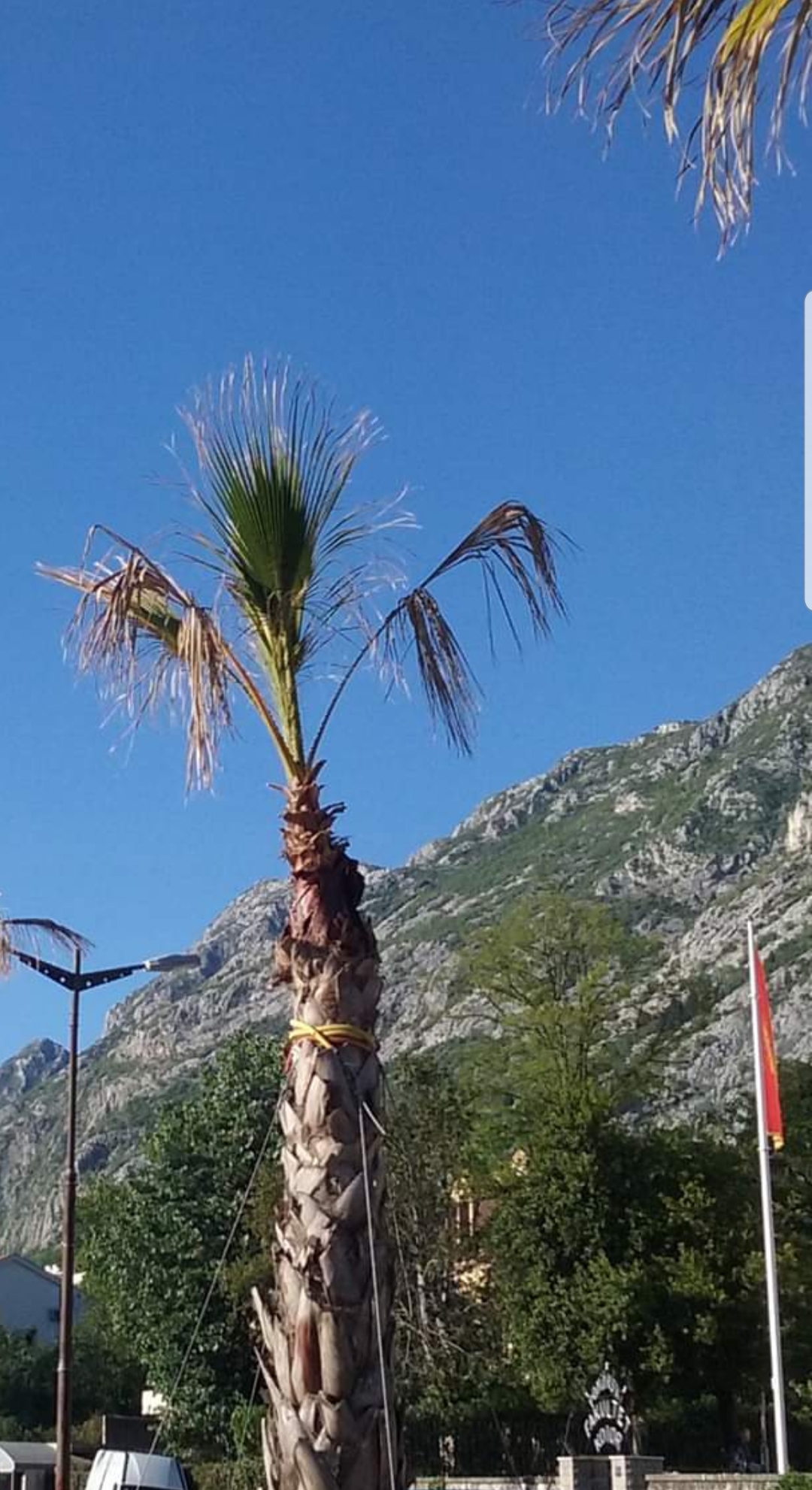 GARANCIJA NA PALME DVIJE GODINE, ODGOVORAN ODNOS PREMA BUDZETU