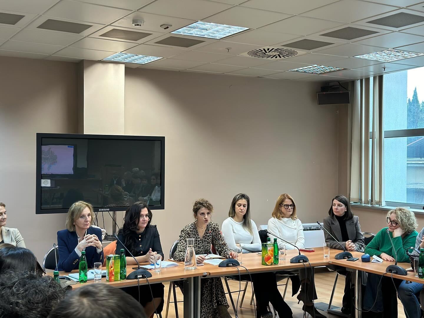 IZRADA PROSTORNOG PLANA CRNE GORE: USAGLAŠAVANJE SAOBRAĆAJNIH RJEŠENJA