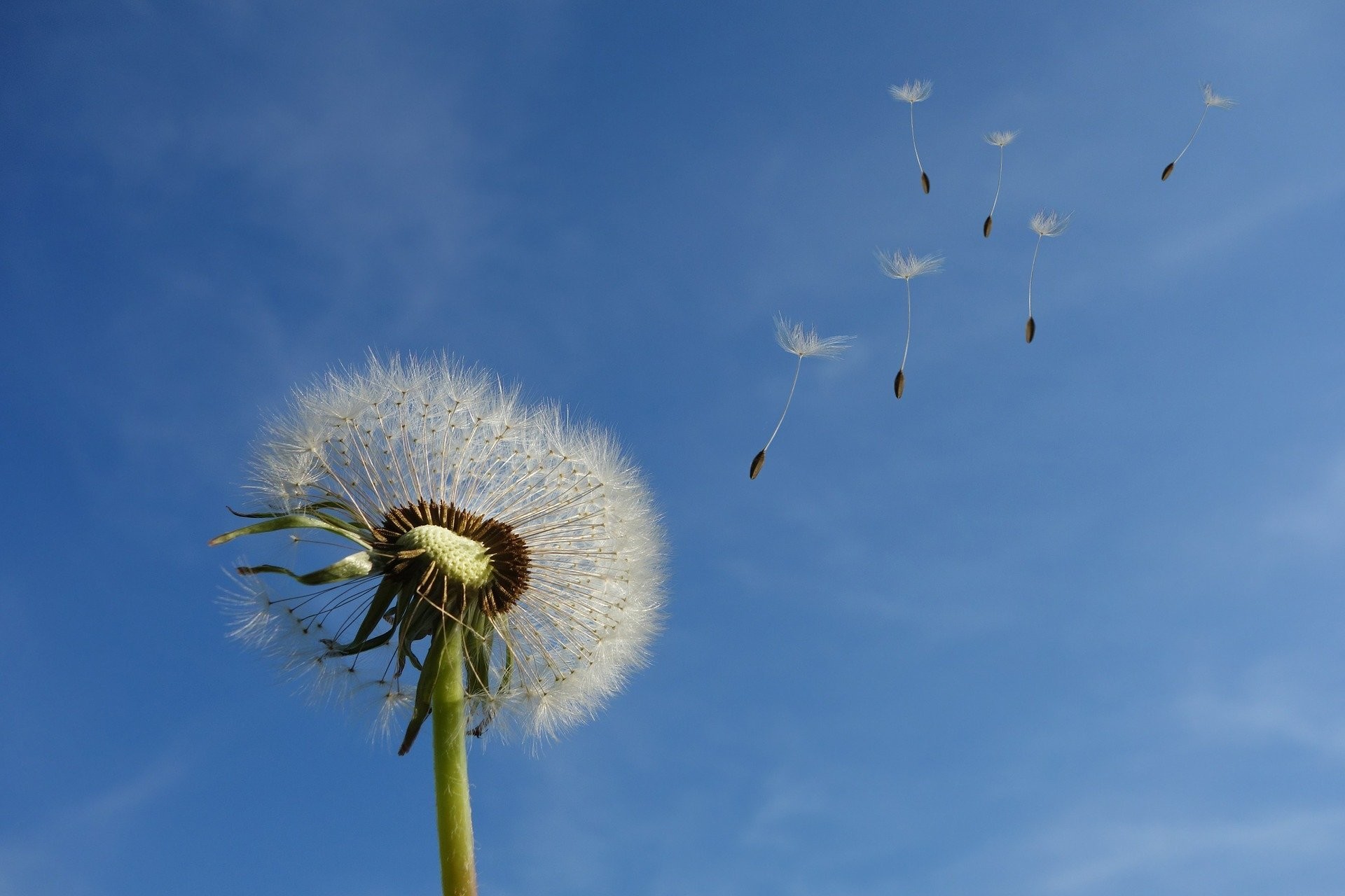 blog 1