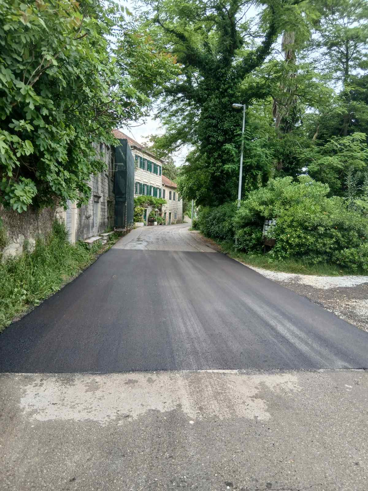 blog 1