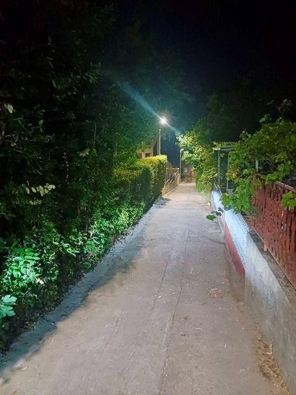 blog 1