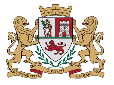 CHANGES TO THE THIRD PUBLIC CALL REGARDING NONGOVERNMENTAL ORGANISATIONS 2017